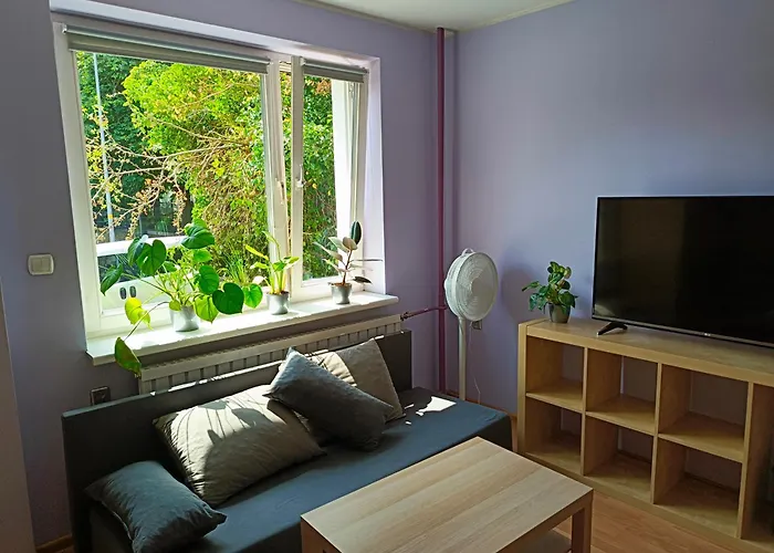 Z Ogródkiem I Miejscem Do Grillowania Apartament Gdańsk